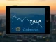 Analysis of Coinone exchange delisting YALA cryptocurrency and market impact