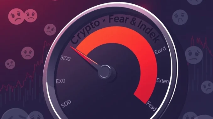 Visualization of the Crypto Fear & Greed Index showing a dramatic drop into the extreme fear zone.