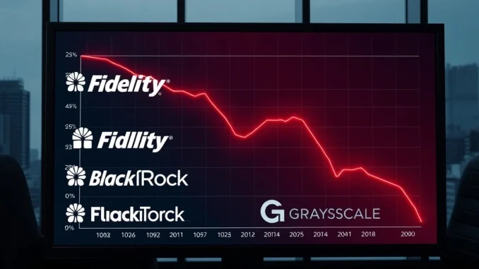Spot ETH ETFs Face Staggering $178 Million Net Outflow as Investor Sentiment Shifts Chart showing the $178 million spot ETH ETF outflow for major financial institutions in January 2025.