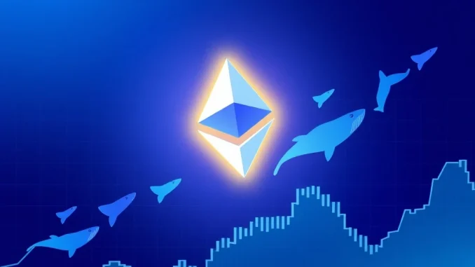 Analysis of Ethereum price holding $3,000 as cryptocurrency whales accumulate ETH tokens.