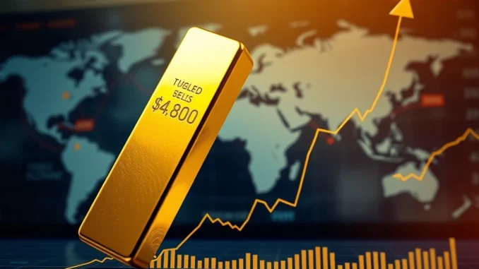 Gold price breaks the $4,800 per ounce barrier, reaching a historic all-time high in global markets.