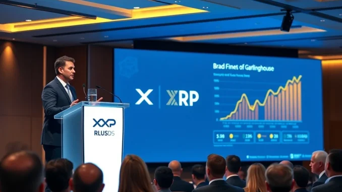 Ripple CEO Reveals Ambitious 2025 Strategy: Driving Unprecedented Growth for XRP and RLUSD Ripple CEO Brad Garlinghouse presenting 2025 strategy for XRP and RLUSD growth at fintech conference
