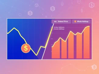 Analysis of Solana price decline versus strong on-chain fundamentals and whale accumulation