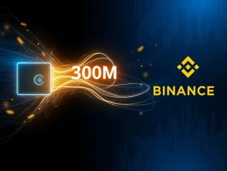 Analysis of a major 300 million USDC stablecoin transfer to the Binance cryptocurrency exchange