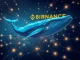 Analysis of a massive 500 million USDC stablecoin transfer to the Binance cryptocurrency exchange