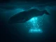 A dormant cryptocurrency whale awakens to sell Ethereum and open a massive leveraged long position, signaling market moves.