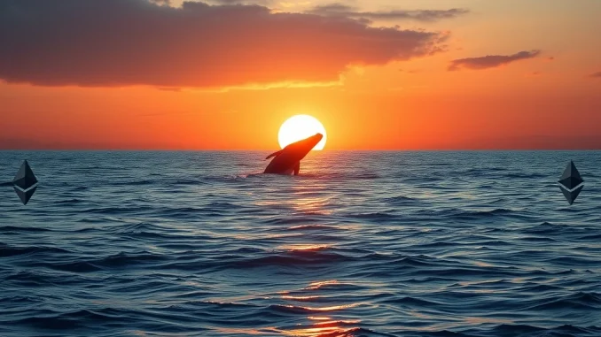 A cryptocurrency whale's $31.8M ETH maneuver between Binance and Aave, analyzed for market impact.