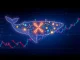 XRP whales accumulate $710 million in cryptocurrency tokens during market volatility, showing investor confidence.
