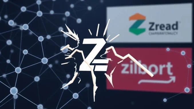 Zcash developer activity decline and governance disputes impact on ZEC cryptocurrency price