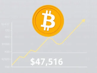 Bitcoin fundamental value chart showing the CVDD metric reaching $47,516, indicating a new price floor.