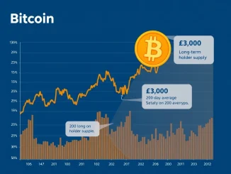 Analysis of Bitcoin's mid-cycle reset as long-term holder supply reaches 14.3 million BTC.