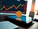 Bitcoin volatility analysis showing long-term growth trends despite market fluctuations