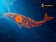 A Bitcoin whale executes a massive $351 million BTC transfer to Binance, analyzed by market experts.