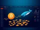 Analysis of Bitcoin price pressure from whale selling versus small holder accumulation, based on Santiment data.