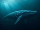 A dormant Bitcoin whale transfers 2,819 BTC to Paxos after eight years of inactivity.