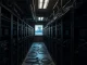Russia's largest Bitcoin miner BitRiver faces bankruptcy amid energy debt crisis