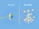Visual comparison of BlockDAG and Ethereum blockchain architectures highlighting transaction speed differences.