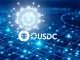 AI-driven on-chain payments visualization with USDC stablecoin and blockchain technology interface.