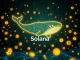 Analysis of a crypto whale's $2.5 million profit from a Solana meme coin $PUNCH trade.