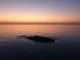 An Ethereum whale resumes token accumulation in the deep cryptocurrency market after a major loss.