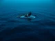 A massive ETH whale transfer to Binance creates ripples across the cryptocurrency market, symbolizing a $243 million movement.