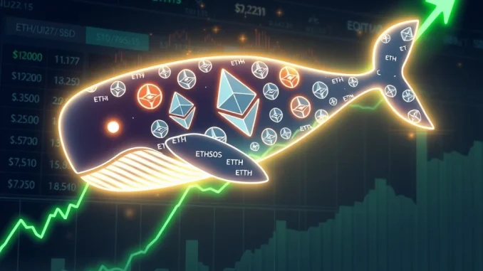 Ethereum whales trigger buy signal as technical indicators show accumulation pattern after market correction
