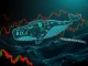 A cryptocurrency whale faces massive liquidation risk on Hyperliquid's HYPE token market during volatility.