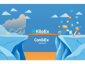 KiloEx and Conflux Network bridge DeFi trading with real-world stablecoin payment solutions.