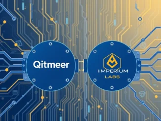 Strategic alliance between Qitmeer Network and Imperium Labs for next-generation DeFi infrastructure.