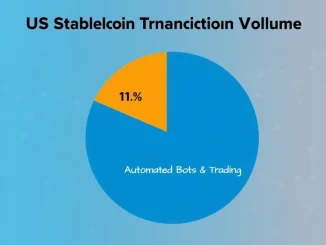 Infographic showing only 0.1% of US stablecoin transaction volume is used for retail payments, highlighting the dominance of automated bots.