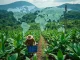 TitanRWA and RubberVerseX tokenize the global rubber supply chain using blockchain for transparent, compliant trading.