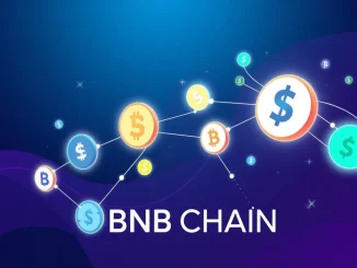VenusFlux liquidity layer on BNB Chain enabling inclusive DeFi access