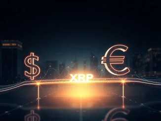 XRP bridge currency connecting US dollar and Euro stablecoins on the XRP Ledger DEX.