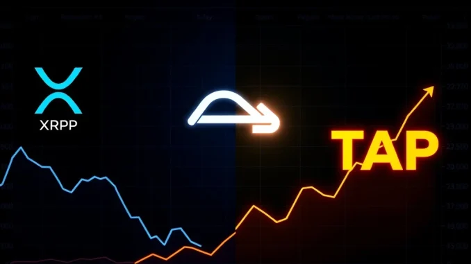 Analytical graphic showing capital rotation from XRP to Digitap TAP token in crypto presale market.