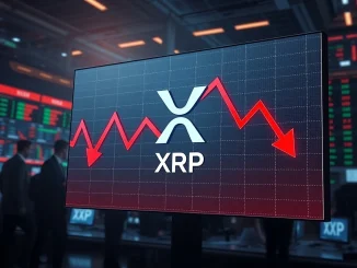 Analysis of XRP price crash showing dramatic February 2026 cryptocurrency market downturn