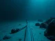 Submarine fiber optic cable on ocean floor, illustrating Bitcoin network infrastructure resilience.