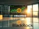 BlackRock Bitcoin acquisition signals institutional confidence as whale wallets surge.