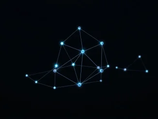 Loopring blockchain network analysis showing zkRollup technology connections and data flow