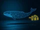 $PUMP cryptocurrency whale withdrawing millions in tokens from digital exchanges, representing a major market movement.
