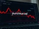 Cryptocurrency trading dashboard showing PUNCH whale wallet activity during 70% price drop