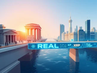 REAL Token bridges traditional finance with XRP Ledger blockchain infrastructure through BTCC exchange listing