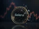Solana meme token SANAE TOKEN crashes after politician denies link, symbolizing cryptocurrency volatility.