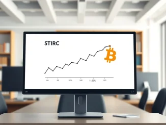 Financial chart showing STRC dividend yield increase to 11.50% alongside Bitcoin acquisition strategy analysis.