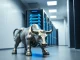 Sui Bank strategy merging blockchain infrastructure with traditional Wall Street finance symbols.
