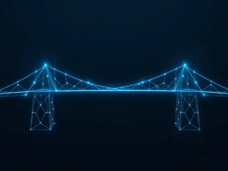 Circle's new USDC Bridge connecting blockchain networks for stablecoin transfers.