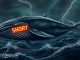 Hyperliquid whale holding a $38M short position against Bitcoin in a stormy crypto market