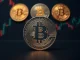 Analysis of the 2024 Bitcoin halving cycle showing weaker performance.