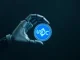 Robotic hand holding a glowing blue USDC stablecoin token against a dark background