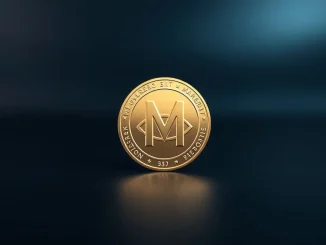 Monero XMR coin on dark surface with soft studio lighting for cryptocurrency price prediction article