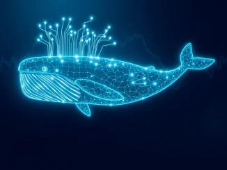 XRP whale accumulation analysis showing blockchain data flows and market trends